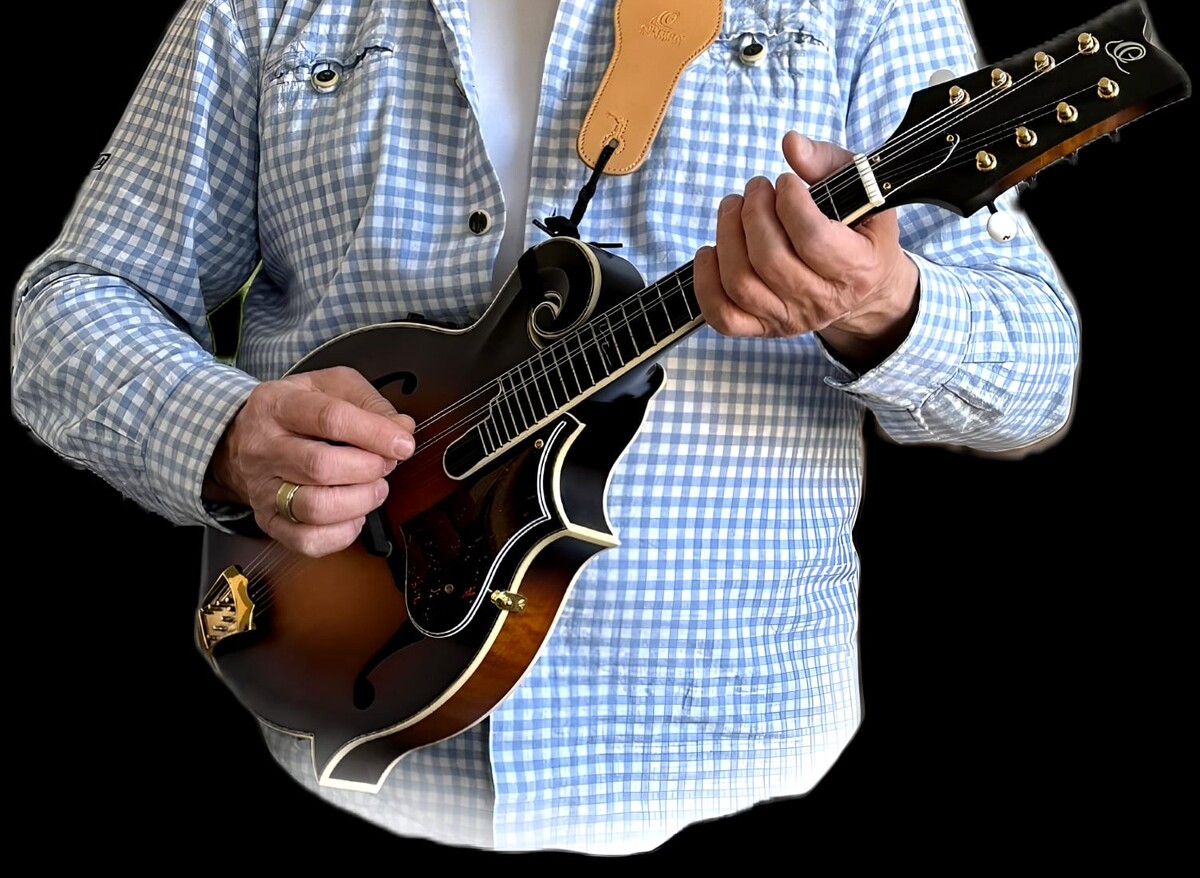 Nahaufnahme der F-Style-Mandoline von Bernd Müller